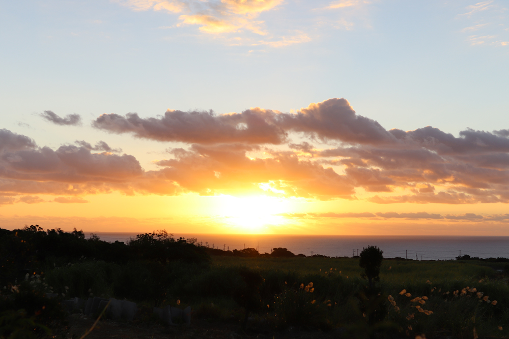あけましておめでとうございます